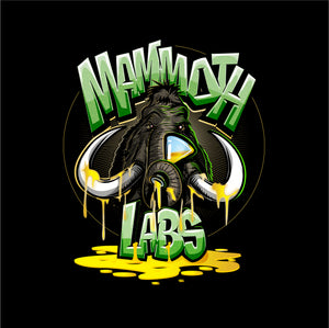 Mammoth Labs
